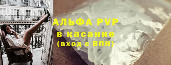 стафф Аркадак