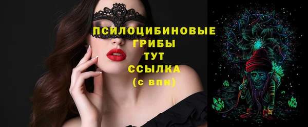 стафф Аркадак