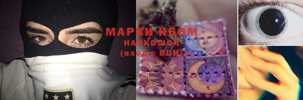 стафф Аркадак