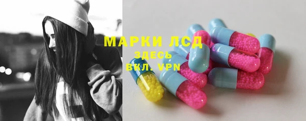 стафф Аркадак