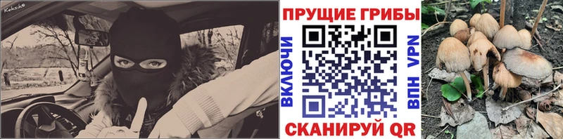 Псилоцибиновые грибы мицелий  Купить где  Боровичи 